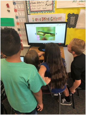 Student-led Learning